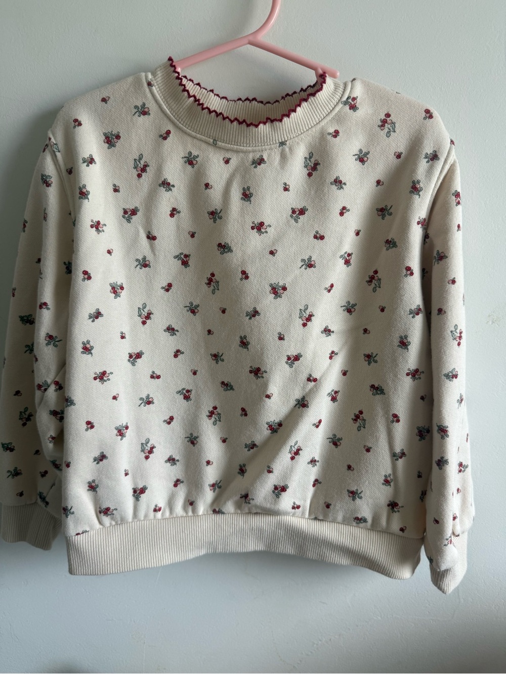 H&M Crewneck Sweater-5t/6